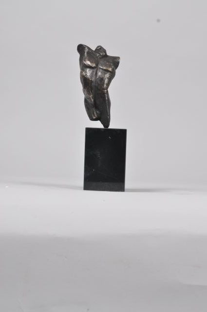 Frits van Eeden + Torso boy
